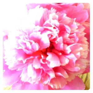 Meet your Posher, Patricia